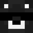 Image for zGay Minecraft Player