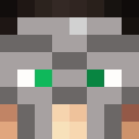 Image for zehenn Minecraft Player