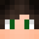 Image for zonkin Minecraft Player