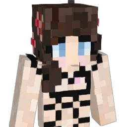 00_000_000_ Minecraft avatar bust