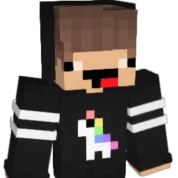 00wow00 Minecraft avatar bust