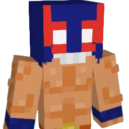 0101010101010102 Minecraft avatar bust
