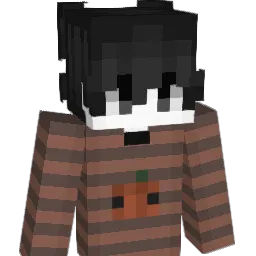 0101010110101011 Minecraft avatar bust
