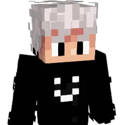 _skyzzzz's skin