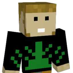 01ddd01 Minecraft avatar bust