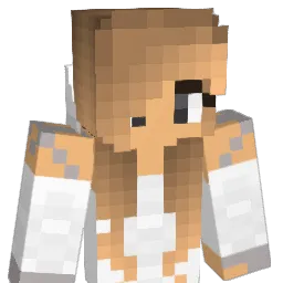 01laura05 Minecraft avatar bust