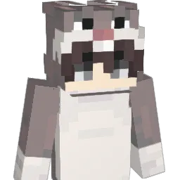 johan2426's skin