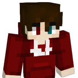RezikoPlayzz's skin