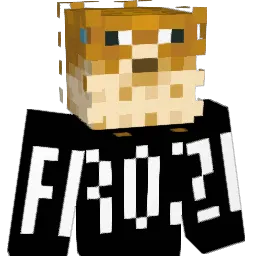 fr0zxn_'s skin