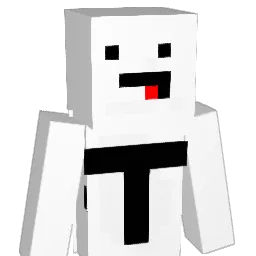 0411TaiTai Minecraft avatar bust
