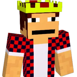 FalF1ks's skin