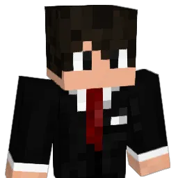 RochStyle's skin
