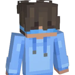 Dswk's skin
