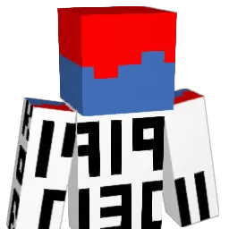 07_pixon_07 Minecraft avatar bust