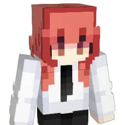 aa4r's skin
