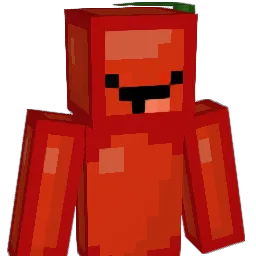 0Riri Minecraft avatar bust