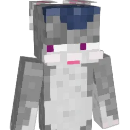0_KODA_0 Minecraft avatar bust