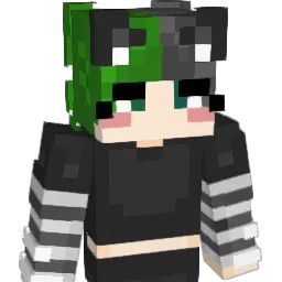 0_Z0r0 Minecraft avatar bust