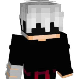 D0m1_x's skin