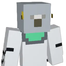 HonkVoid's skin