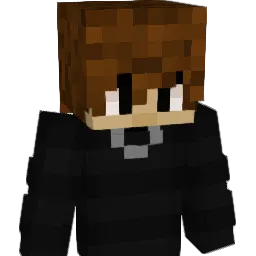 MrStrayJosh's skin