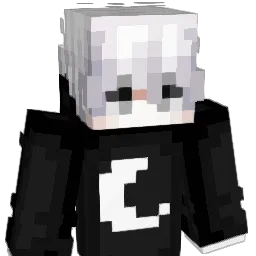 bestwwww's skin