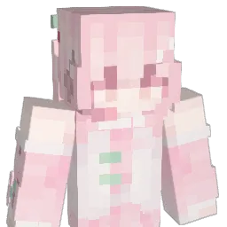 MelonLeg's skin