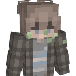 micflerry's skin