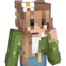 0r30s91 Minecraft avatar bust