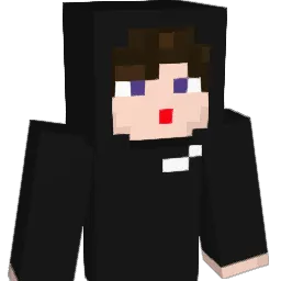 100211's Minecraft skin