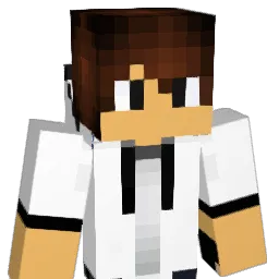 1010aaro Minecraft avatar bust