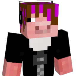 10_10_01 Minecraft avatar bust