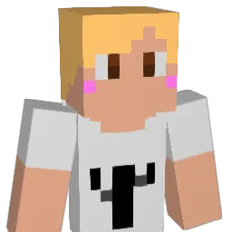 10ma53 Minecraft avatar bust