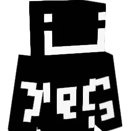 10tp10 Minecraft avatar bust