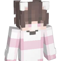 110000110 Minecraft avatar bust