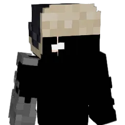 Taiigc's skin