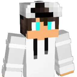 113x Minecraft avatar bust