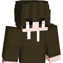 116njj Minecraft avatar bust