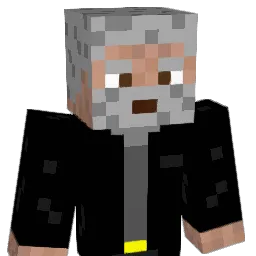 11APOLLO11 Minecraft avatar bust