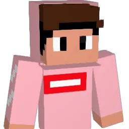 11DarkNight1 Minecraft avatar bust