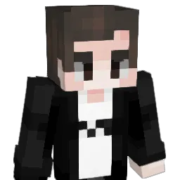 11MGD11 Minecraft avatar bust