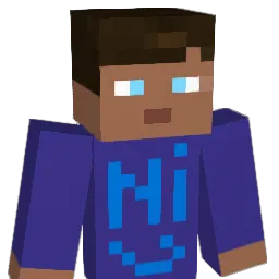 11N1sen11 Minecraft avatar bust