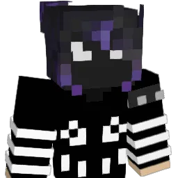 11Tynka11 Minecraft avatar bust