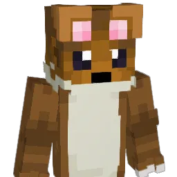 11_lasica_11 Minecraft avatar bust