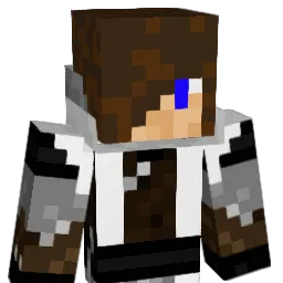 11allancam Minecraft avatar bust