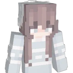 11coolgamer Minecraft avatar bust