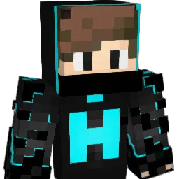 11hasan11 Minecraft avatar bust