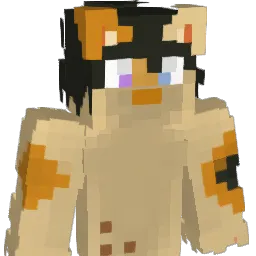 11hh Minecraft avatar bust