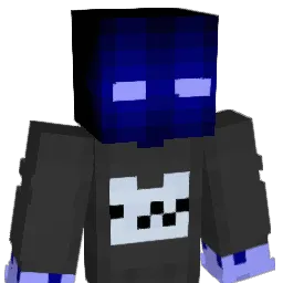 11jw Minecraft avatar bust