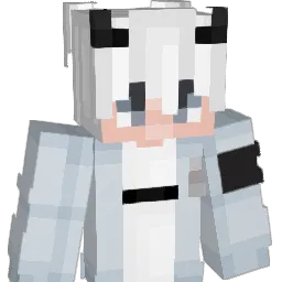 11marc__ Minecraft avatar bust